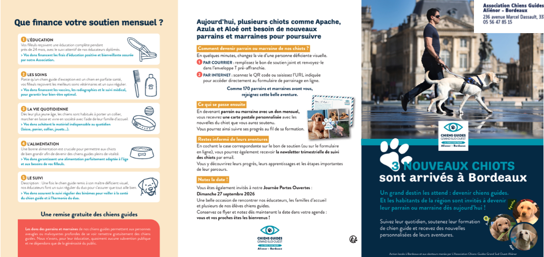 Brochure des Chiens Guides de Bordeaux présentant trois nouveaux chiots
